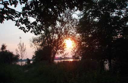 Meditation Ein Sonnenuntergang verdeckt durch Büsche an einem See